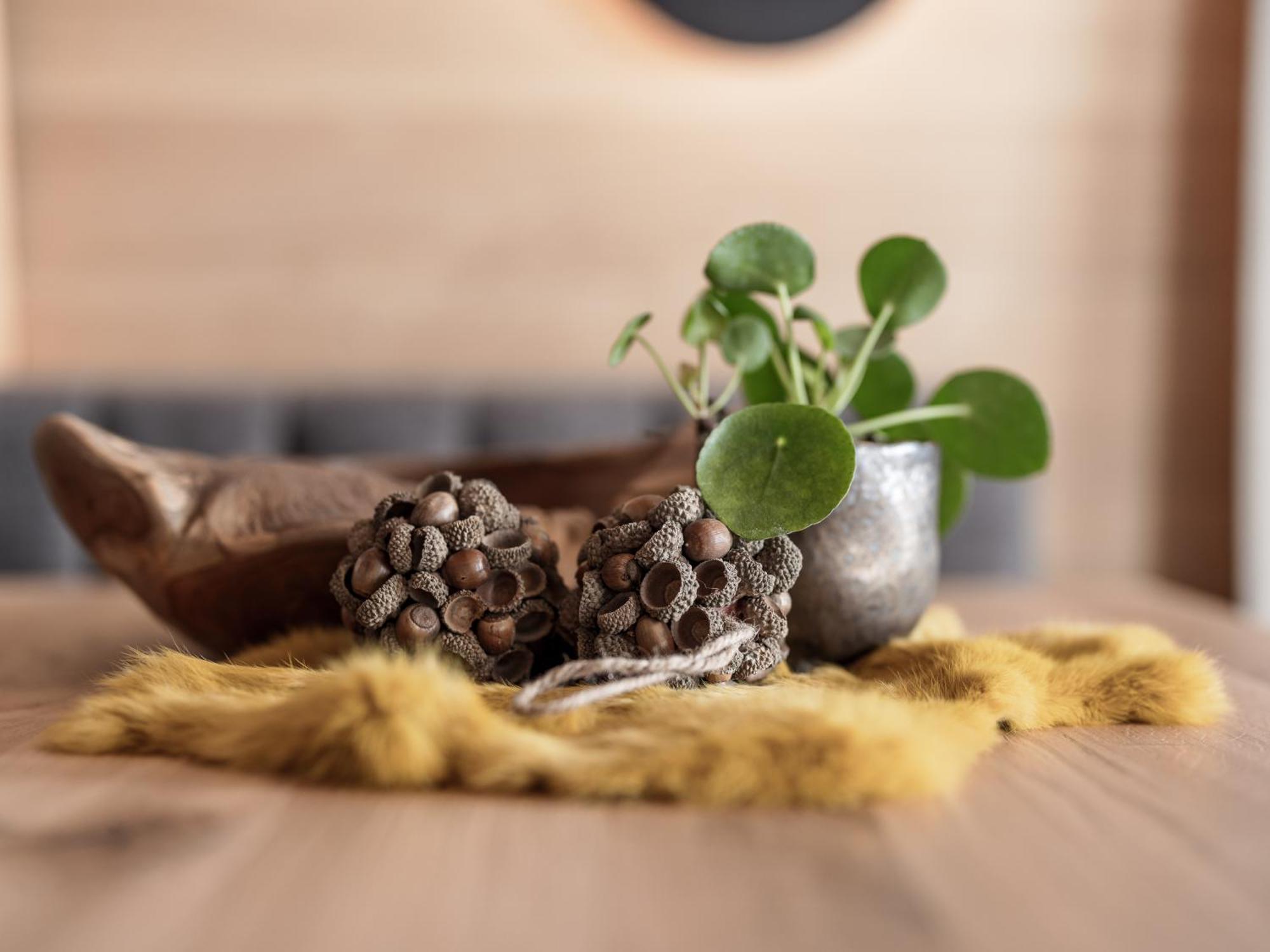 Апартаменты Myalps Oetztal Inklusive Wellness Умхаузен Номер фото